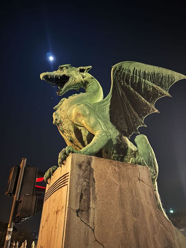 Le symbole le plus célèbre de Ljubljana – heureusement « pétrifié ».